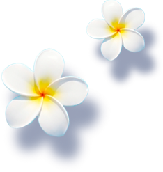 Object Flower 2